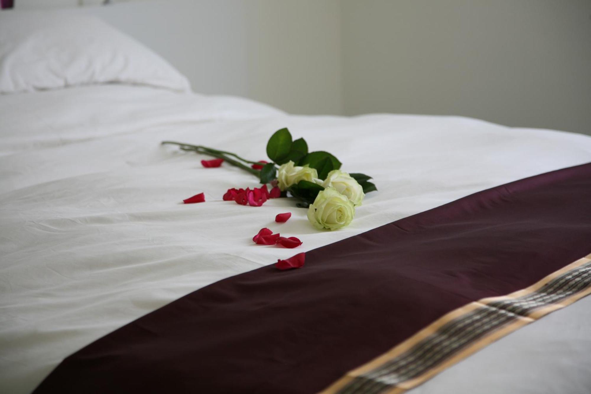 B&B Kanegem Onverbloemd 티엘트 외부 사진