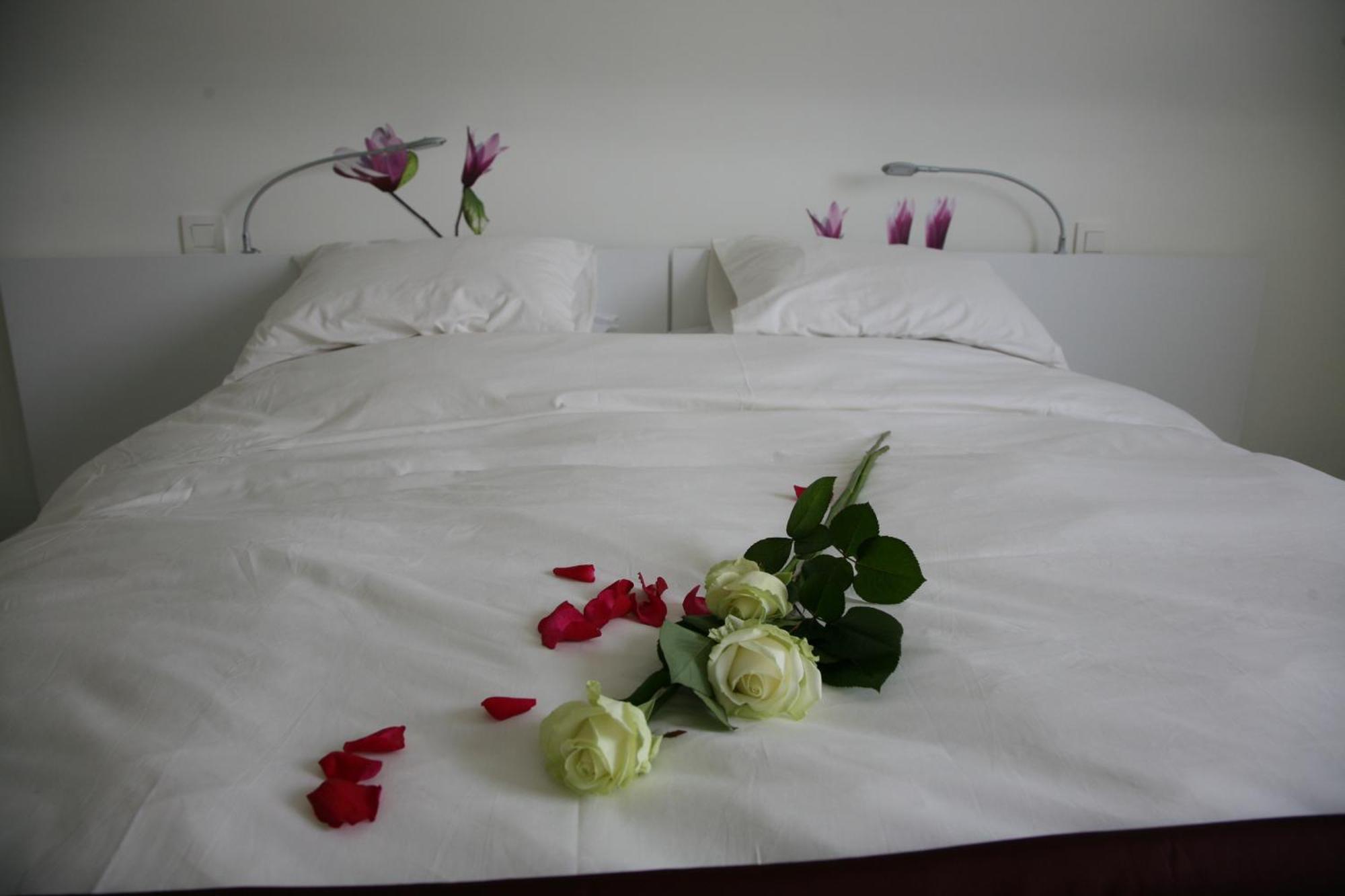 B&B Kanegem Onverbloemd 티엘트 외부 사진